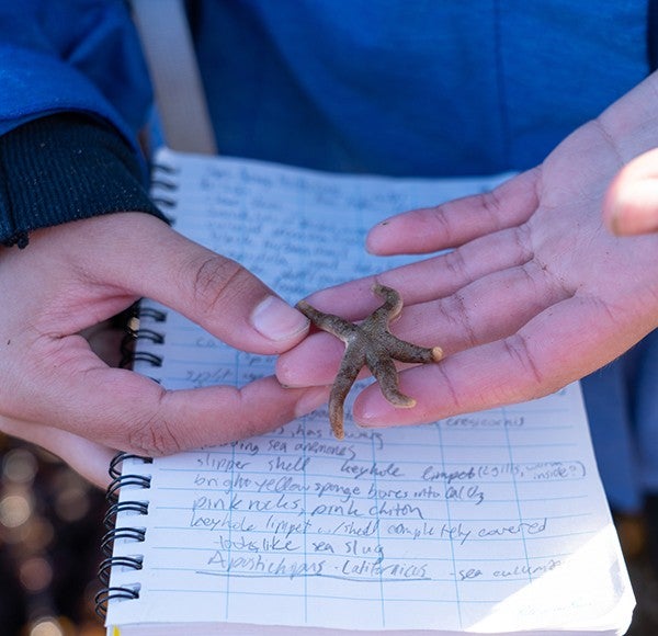 student holding a starfish in their hands